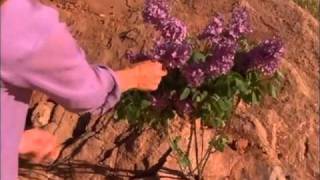 Touched By An Angel- Monica is tempted to fall from grace