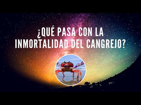 download lagu mp3 mp4 Inmortalidad Del Cangrejo, download lagu Inmortalidad Del Cangrejo gratis, unduh video klip Inmortalidad Del Cangrejo