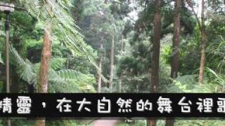 [問卦] 影片配樂的八卦？