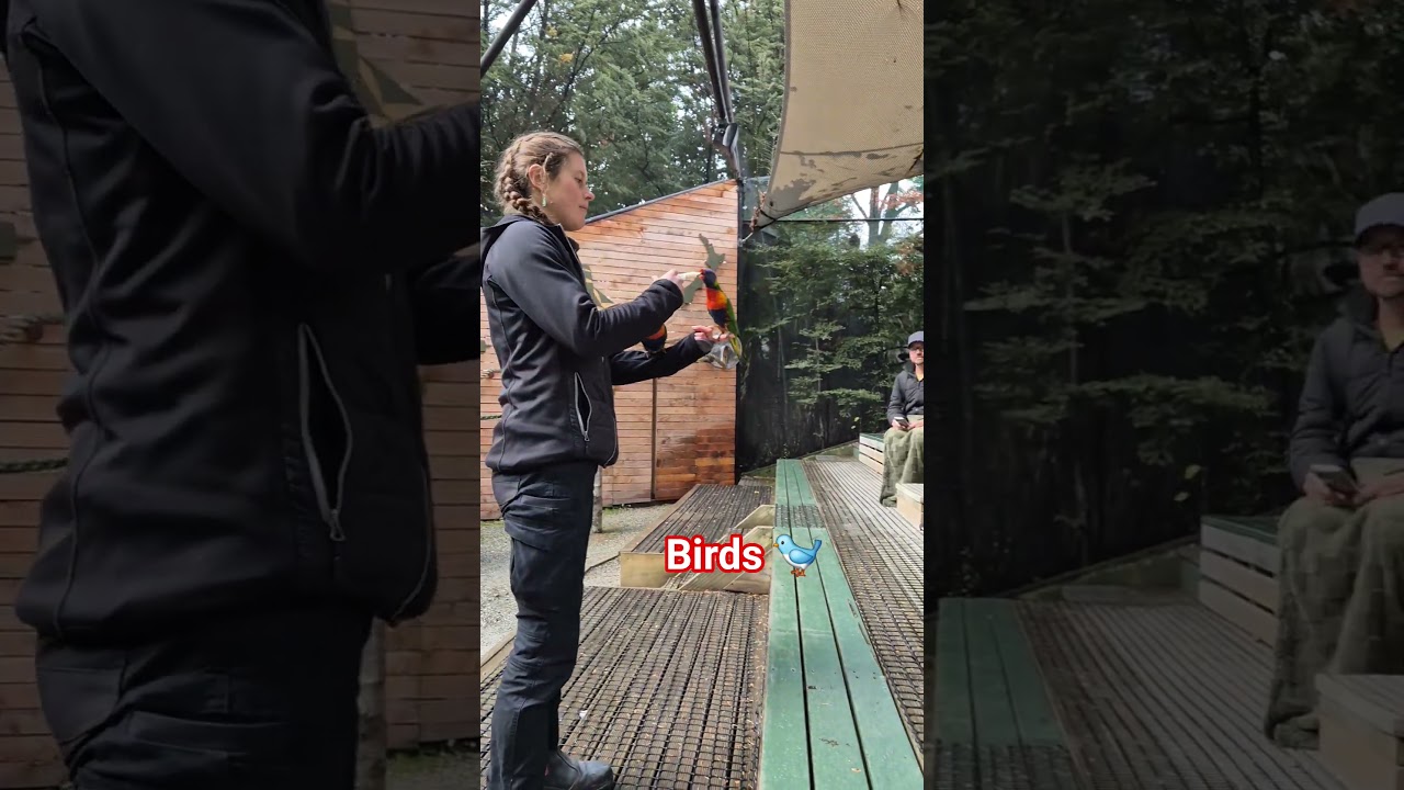 YouTube Short thumbnail