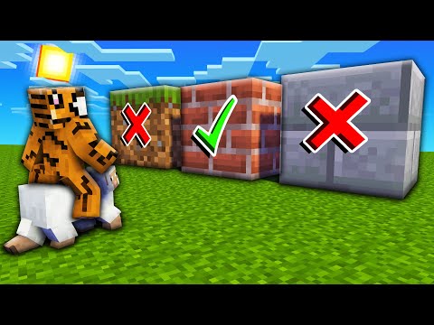 Insane Minecraft Wall Challenge: Don't Choose Wrong!