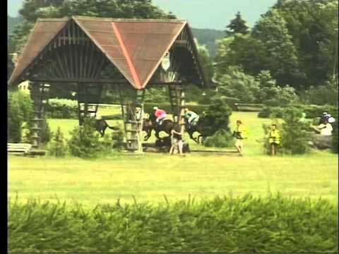 KO, 19. 7. 2015, 4. dostih - CENA WROCĹAWSKI TOR WISCIGOW KONNYCH PARTYNICE