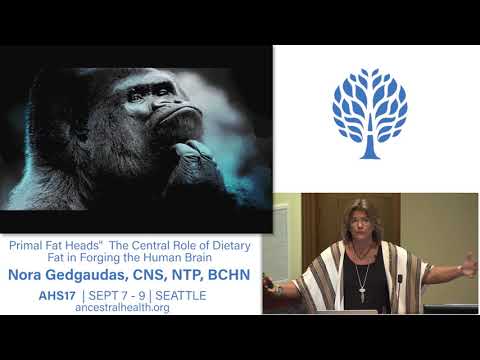 AHS17 The Central Role of Dietary Fat in Forging the Human Brain - Nora Gedgaudas