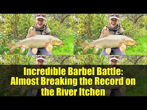 Incredible Barbel Battle: Almost Breaking the Record on the River Itchen