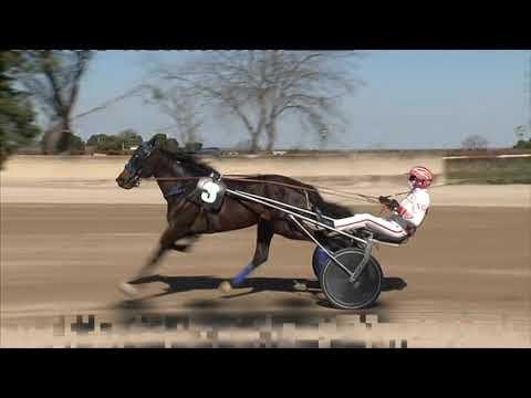 Ippodromo dei Sauri - 1' corsa del 23.3.2023