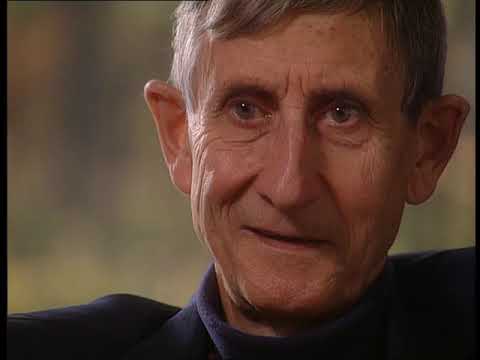 22 - Freeman Dyson -Van de schoonheid en de troost (Of Beauty and Consolation) 2000