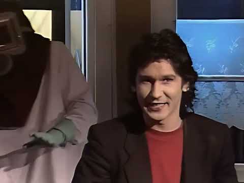 Geier Sturzflug - Pure Lust Am Leben