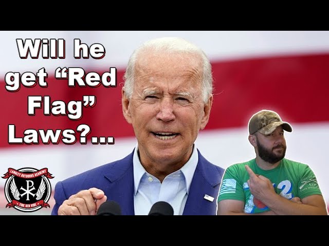 Gun Control leaks point to "Red Flag Laws" being discussed in Senate negotiations...