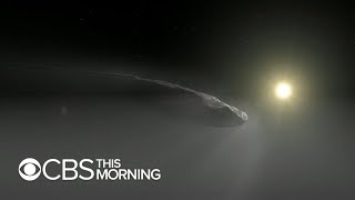 Harvard scientists say Oumuamua may be probe sent by &quot;alien civilization&quot;