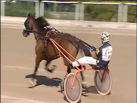 Trotto 20/09/2019 - 4ª corsa