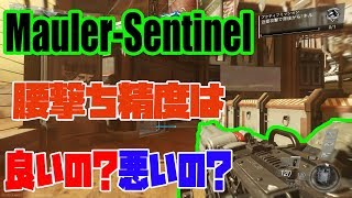 【COD:IW実況】＃126 Sentinelの腰撃ち精度は良いのか。悪いのか。