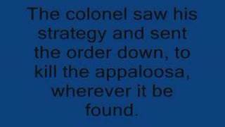 Heart of the Appaloosa