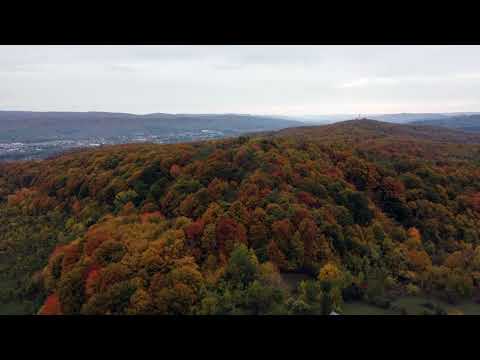 Culori de toamna, dealurile din jurul orasului Curtea de Arges.