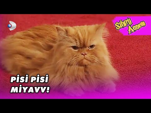 Dudu KEDİ OLDU! - Sihirli Annem Özel Klip