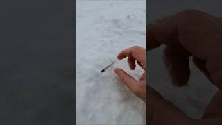Kids Trap found 😱