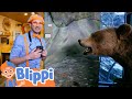 Bear Vs Blippi At The MK Nature Center Animal Adventure For Kids Blippi Learning