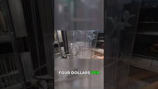 Pack Smart, Save Big on Your Cruise!