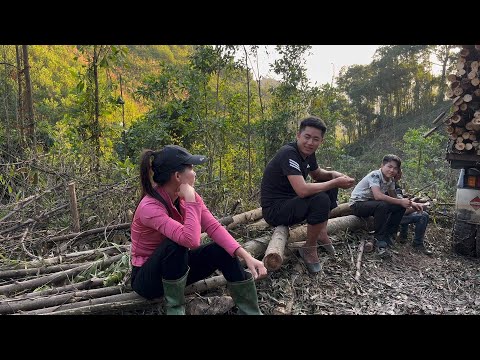 Hong Explores the Timber Trading Process and Market