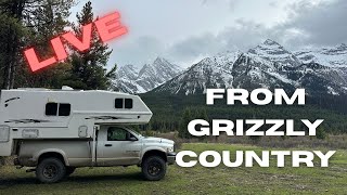 First live EVER. In the elk valley!