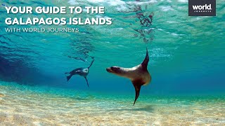 Your guide to the Galapagos