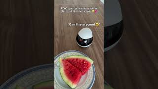 My tiny robot girlfriend 😭#robot #relationship #longdistancerelationship