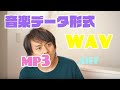 音楽データ形式「WAV」と「mp3」の違いとは?【初心者用解説】 音楽データ形式「WAV」と「mp3」の違いとは?【初心者用解説】