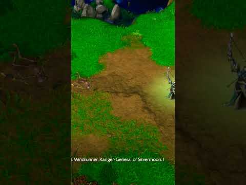 Arthas meets Sylvanas Windrunner for the first time !!