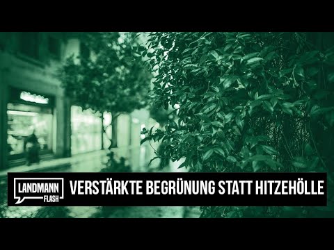 21.08.2019 | DER VALENTIN LANDMANN FLASH | VERSTÄRKTE BEGRÜNUNG STATT HITZEHÖLLE
