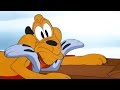 Mail Dog Have A Laugh