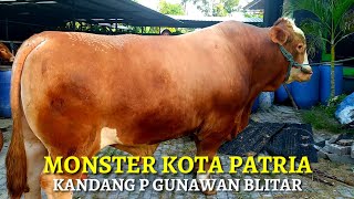 Download lagu MONSTER SAPI BLITAR mp3 Download lagu MONSTER SAPI BLITAR mp3