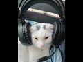 Nafeesisboujee Stephanie Slowed 1H