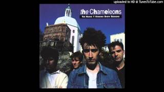 The Chameleons / On The Beach / Radio 1 Evening Show Sessions