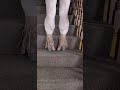 IG Her Culescalves