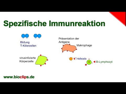 Immunreaktion
