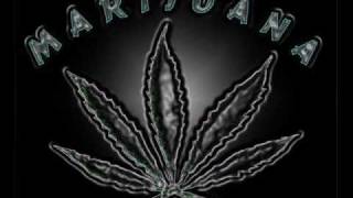 sundance kid stay with me