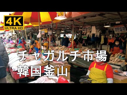 [Coréia] Caminhei até a Autoridade Portuária de Busan através do Mercado Busan Jagalchi, Mercado Costeiro de Chungmudong, Ponte Yeongdo e Ponte Busan / Seul Daegu Gwangju Ponto Turístico Esquina da Rua Red Light District Night Market Travel Bar Caminhada na Coreia [4K]