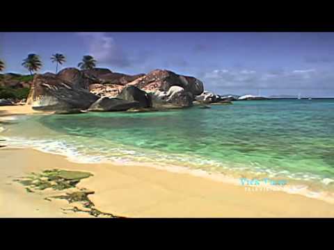 Hạt giống tình Sheet - Diễm Liên