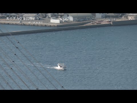 【佐賀県唐津市の風景：4K映像】風の見える丘公園から[呼子町加部島](令和5年1月31日撮影）