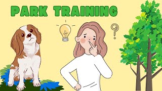Teaching Your Dog to Focus Around Distractions 🐶Letting Dogs Sniff and Learn