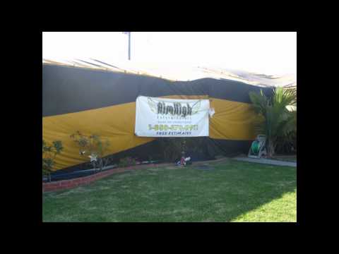 Cleanspace Fumigation for Drywood Termites