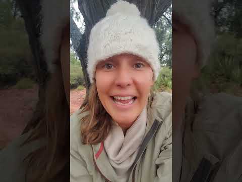 New Moon energy update from rainy Sedona ... 🌧🍁 #newmoon #nomoon #lettinggo
