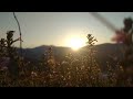 Video Background Keindahan Matahari Terbit No Copyright