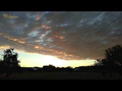 Piano Harp Pedal - Artur Cimirro / Improvisations piano tests 2