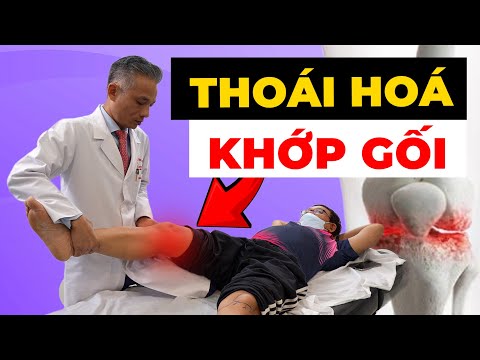 THOÁI HÓA KHỚP GỐI: Nguyên Nhân Thật Sự Và Cách Phòng Ngừa