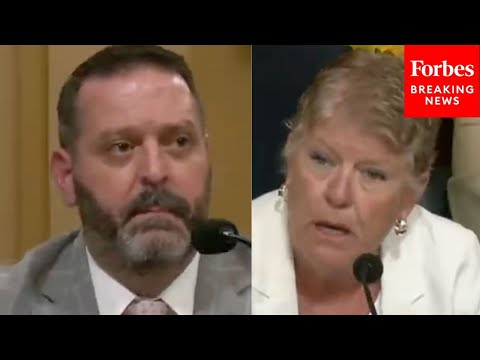 Julia Brownley Asks Official Point Blank If The VA Has The Authority To Confiscate Firearms