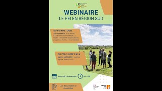 Webinaire – Le PEI en Région Sud