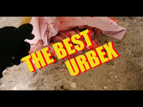 ESPLORAZIONI FINITE MALISSIMO TRA AGGRESSIONI E BRUTTI INCONTRI [Raccolta Completa]