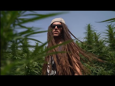 Baino di Lion | High Grade (prod. Positive Vibz) | VÍDEO OFICIAL