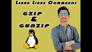 Linux basic commands | gzip & gunzip commands | Tutorial #19