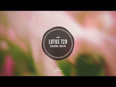 Dawn Patrol Records and 2 more